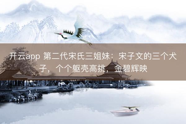 开云app 第二代宋氏三姐妹:宋子文的三个犬子,个个躯壳高挑,金碧辉映