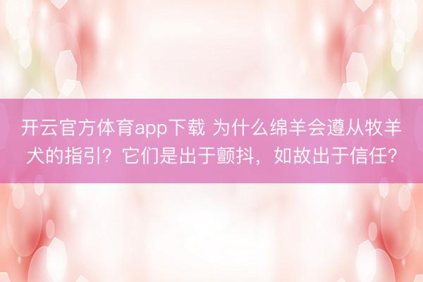 开云官方体育app下载 为什么绵羊会遵从牧羊犬的指引？它们是出于颤抖，如故出于信任？