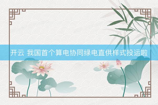 开云 我国首个算电协同绿电直供样式投运啦