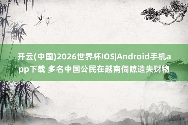 开云(中国)2026世界杯IOS|Android手机app下载 多名中国公民在越南伺隙遗失财物