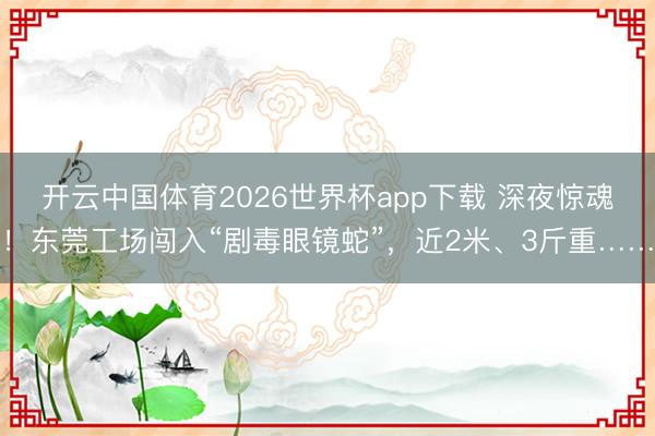 开云中国体育2026世界杯app下载 深夜惊魂！东莞工场闯入“剧毒眼镜蛇”，近2米、3斤重……