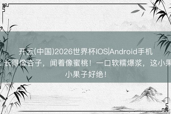 开云(中国)2026世界杯IOS|Android手机app下载 长得像杏子,闻着像蜜桃!一口软糯爆浆,这小果子好绝!
