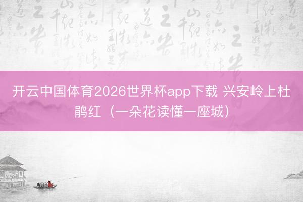 开云中国体育2026世界杯app下载 兴安岭上杜鹃红(一朵花读懂一座城)