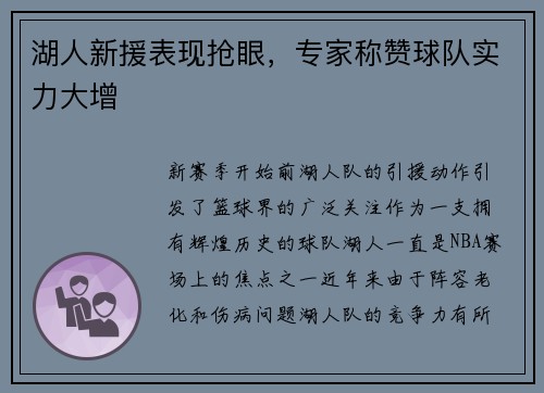 湖人新援表现抢眼，专家称赞球队实力大增